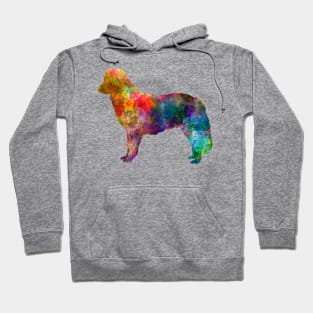 Nova Scotia Duck Tolling Retriever in watercolor Hoodie